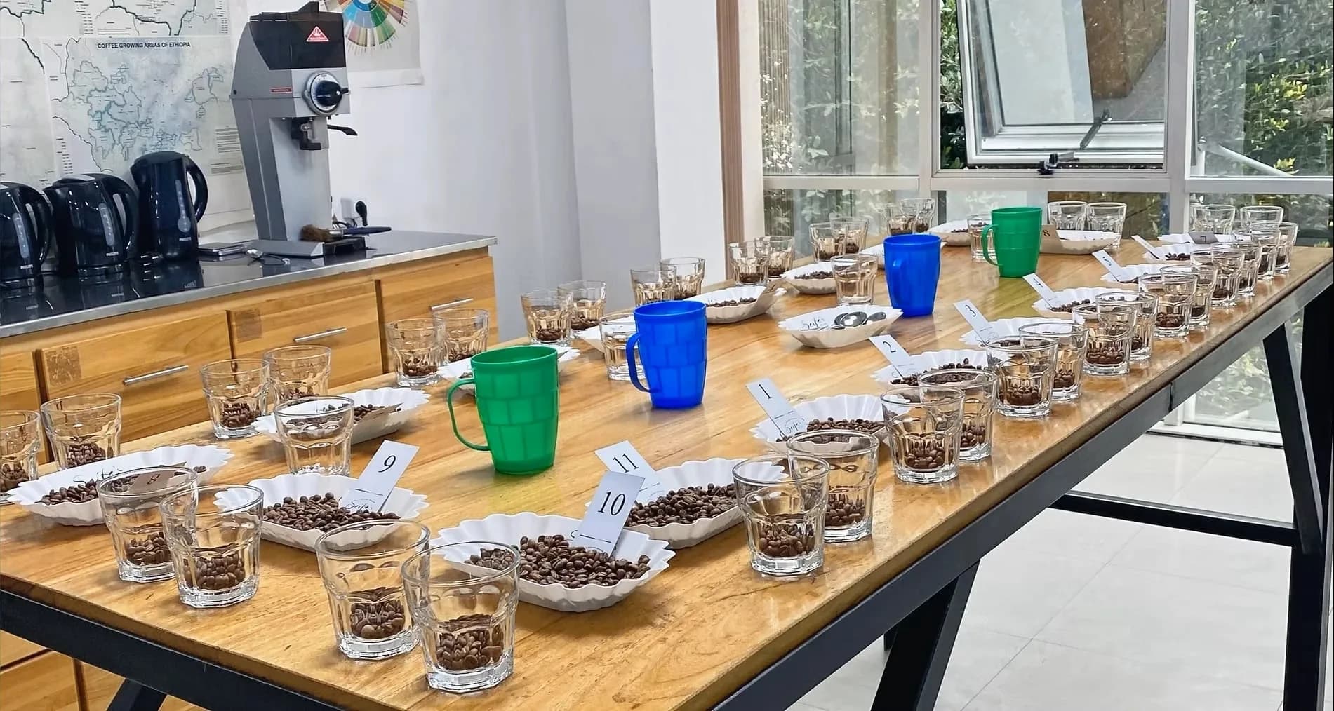 Numbered coffee samples set out for cupping on a long table, with a map of Ethiopia's coffee-growing areas on the wall