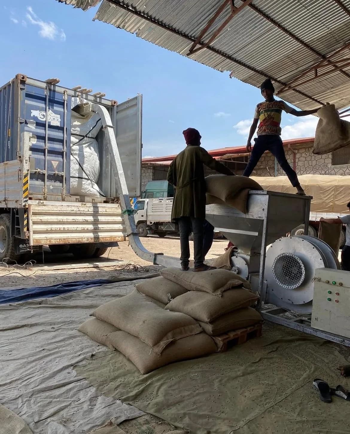 Workers loading green coffee from jute sacks into a lined shipping container for export