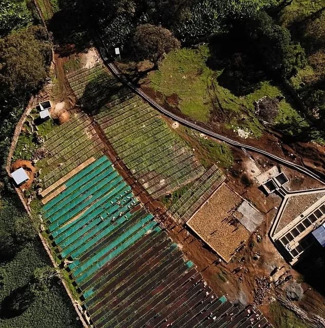 Aerial view of a coffee washing station: rows of raised drying beds, some under shade netting, next to the processing area